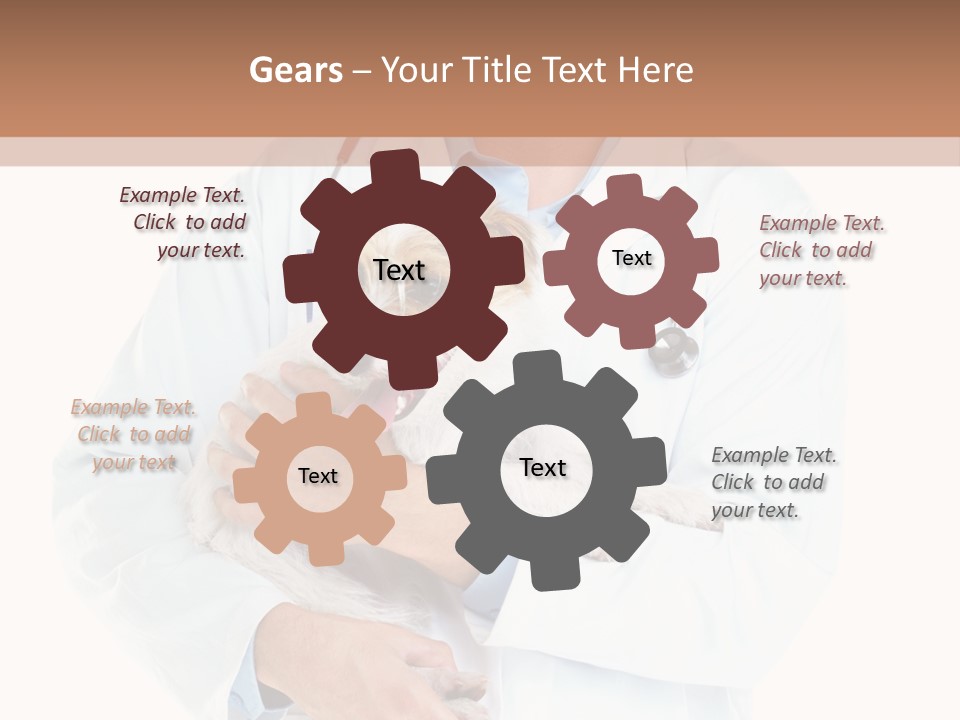 Company Office Di Cu Ion PowerPoint Template