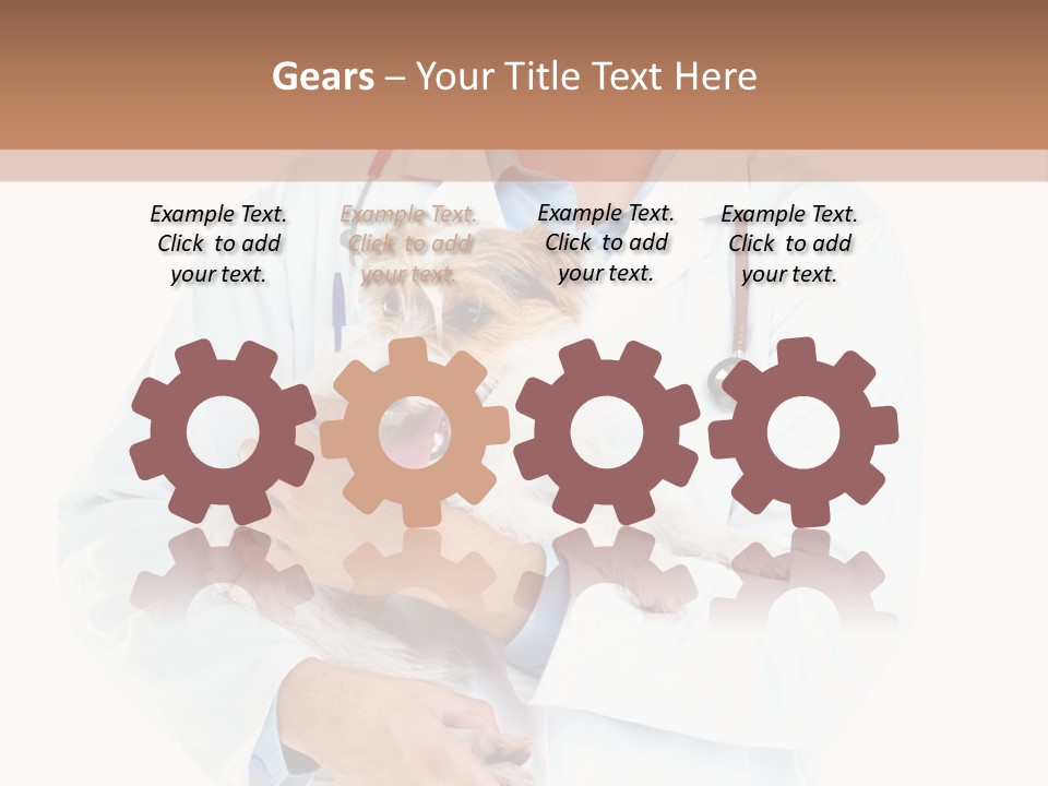 Company Office Di Cu Ion PowerPoint Template