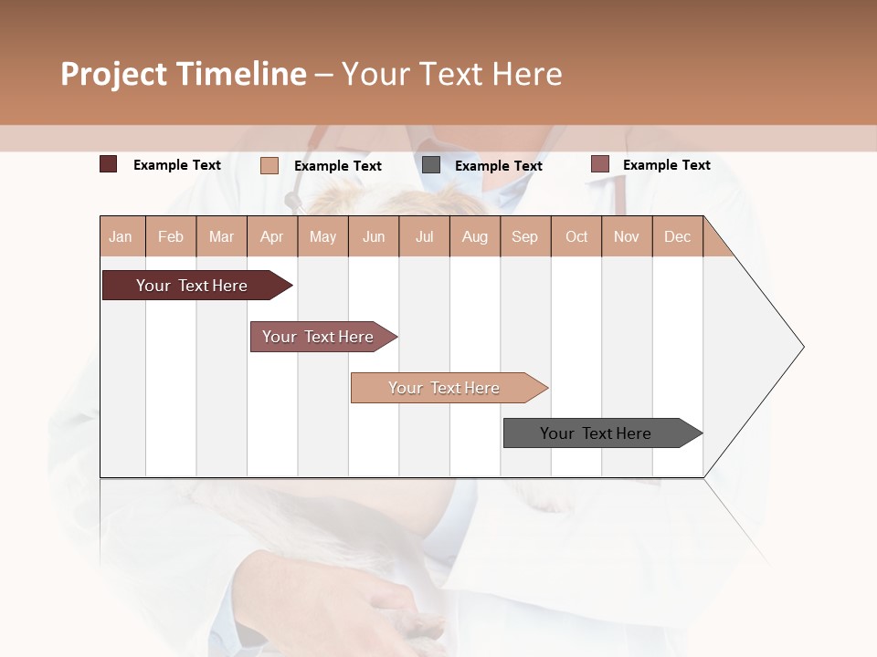 Company Office Di Cu Ion PowerPoint Template