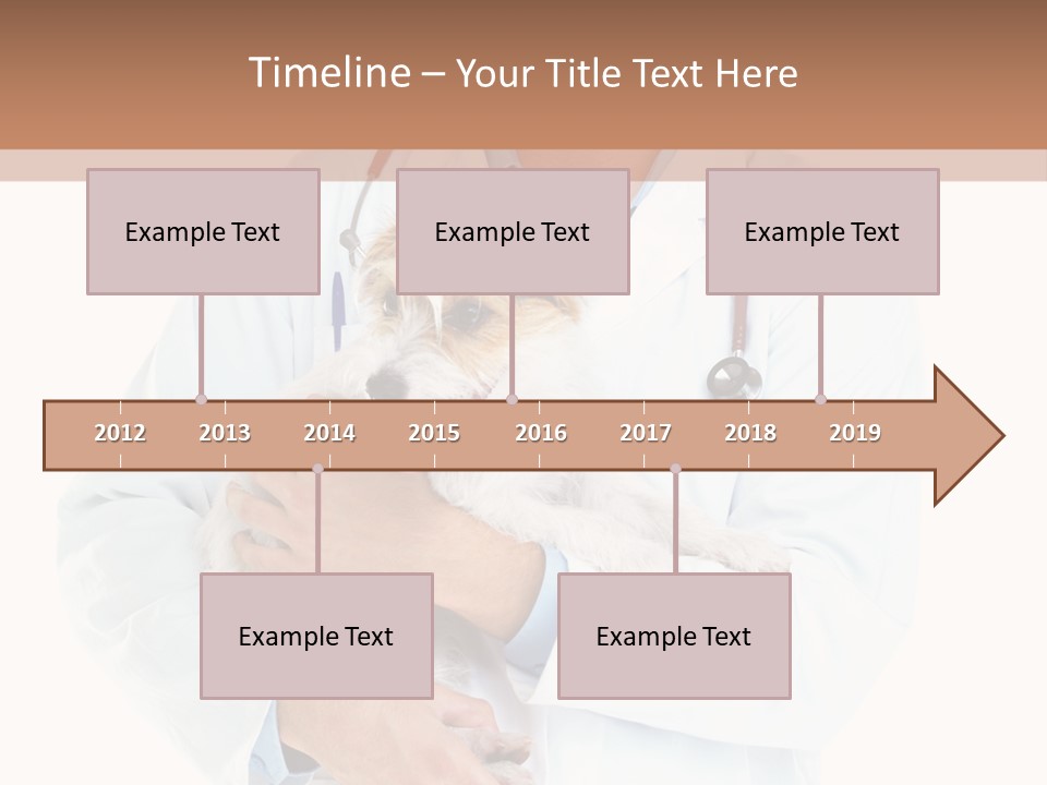 Company Office Di Cu Ion PowerPoint Template