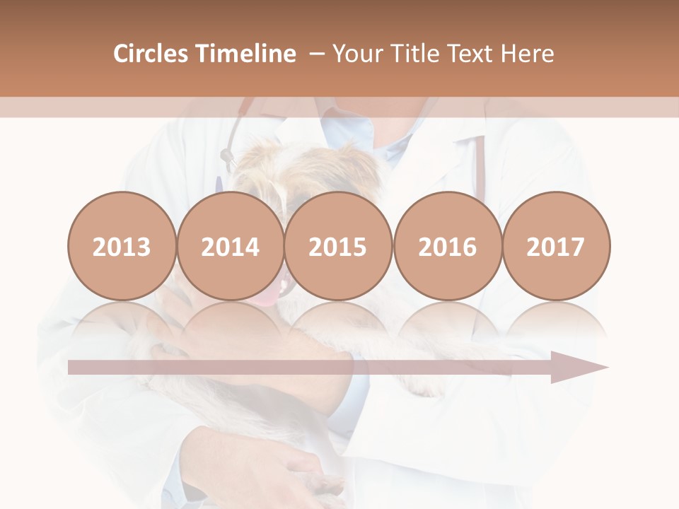 Company Office Di Cu Ion PowerPoint Template