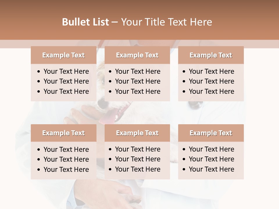 Company Office Di Cu Ion PowerPoint Template