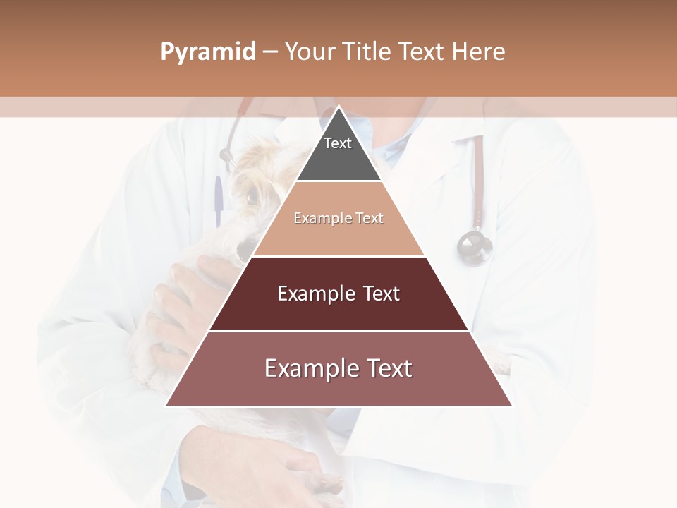 Company Office Di Cu Ion PowerPoint Template