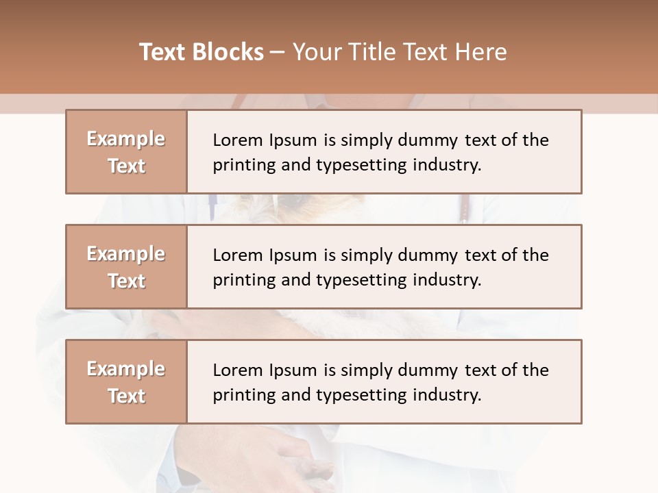 Company Office Di Cu Ion PowerPoint Template