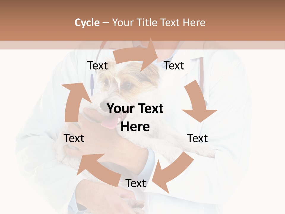 Company Office Di Cu Ion PowerPoint Template
