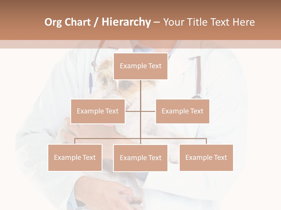 Company Office Di Cu Ion PowerPoint Template