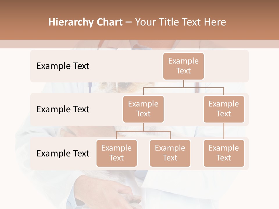 Company Office Di Cu Ion PowerPoint Template