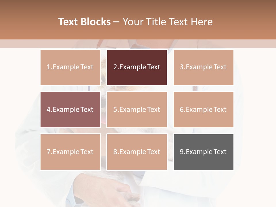 Company Office Di Cu Ion PowerPoint Template