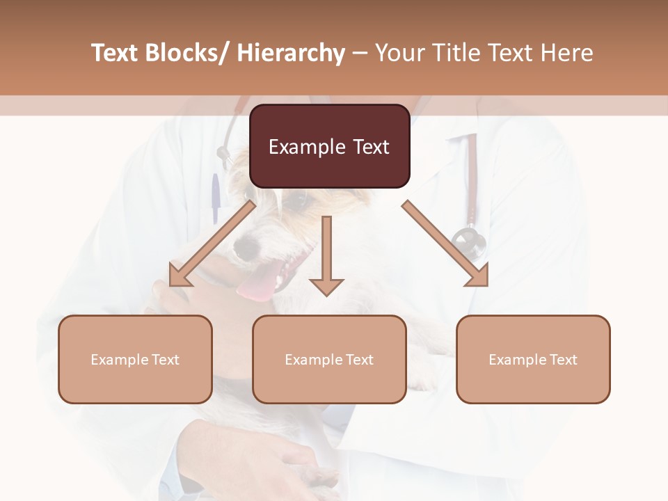 Company Office Di Cu Ion PowerPoint Template
