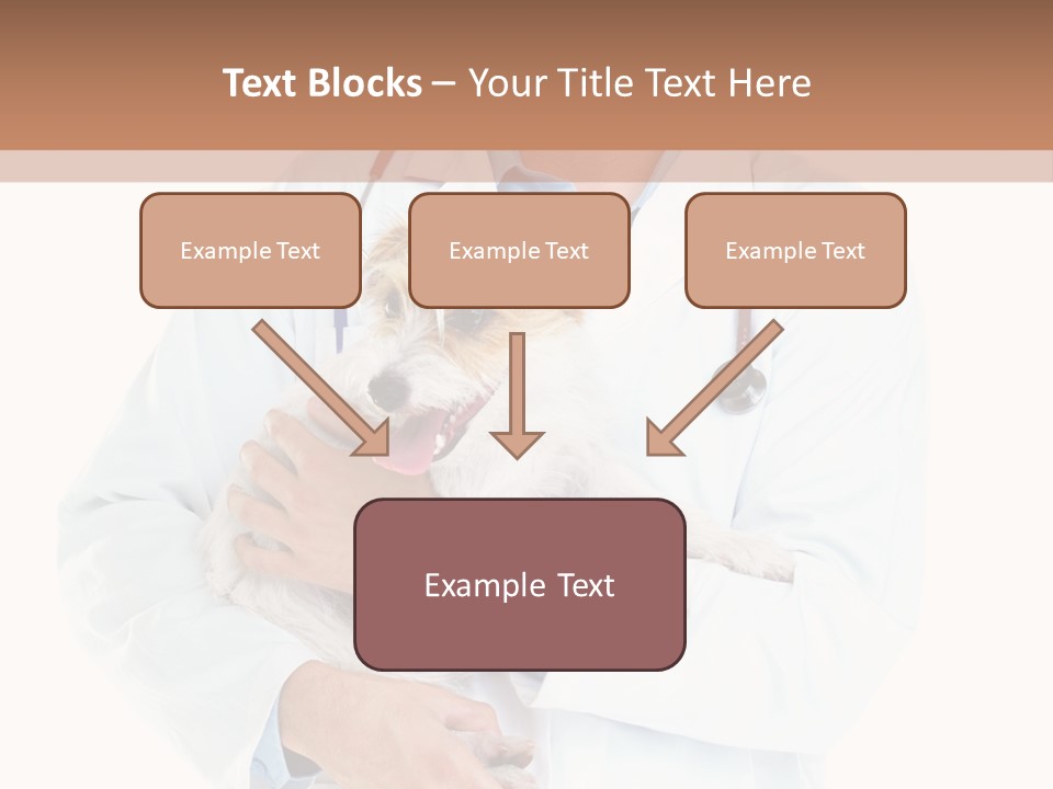 Company Office Di Cu Ion PowerPoint Template