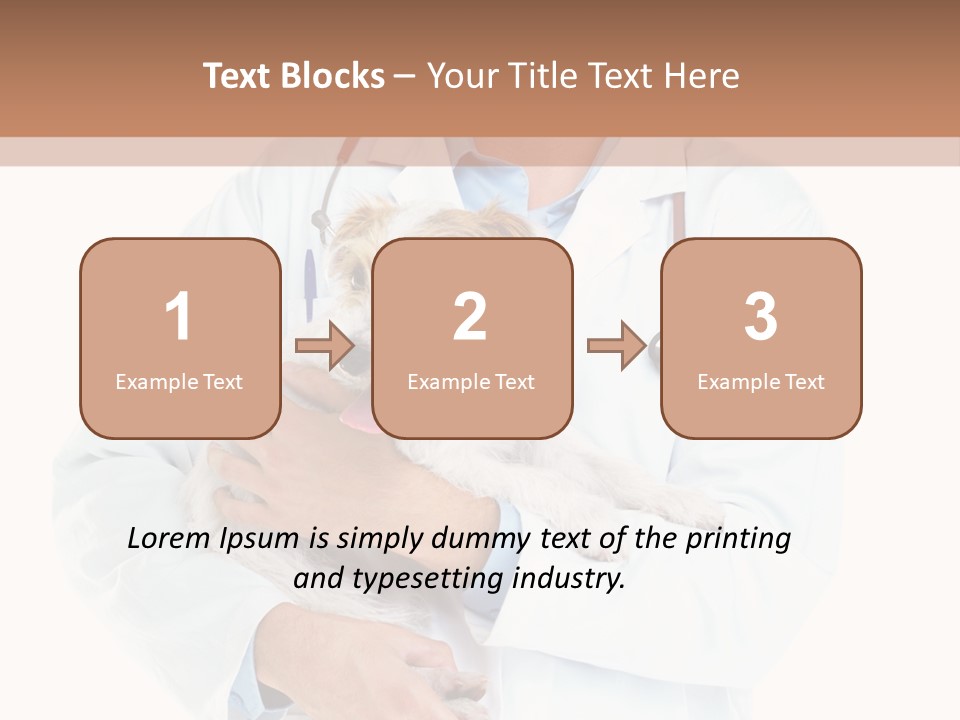 Company Office Di Cu Ion PowerPoint Template