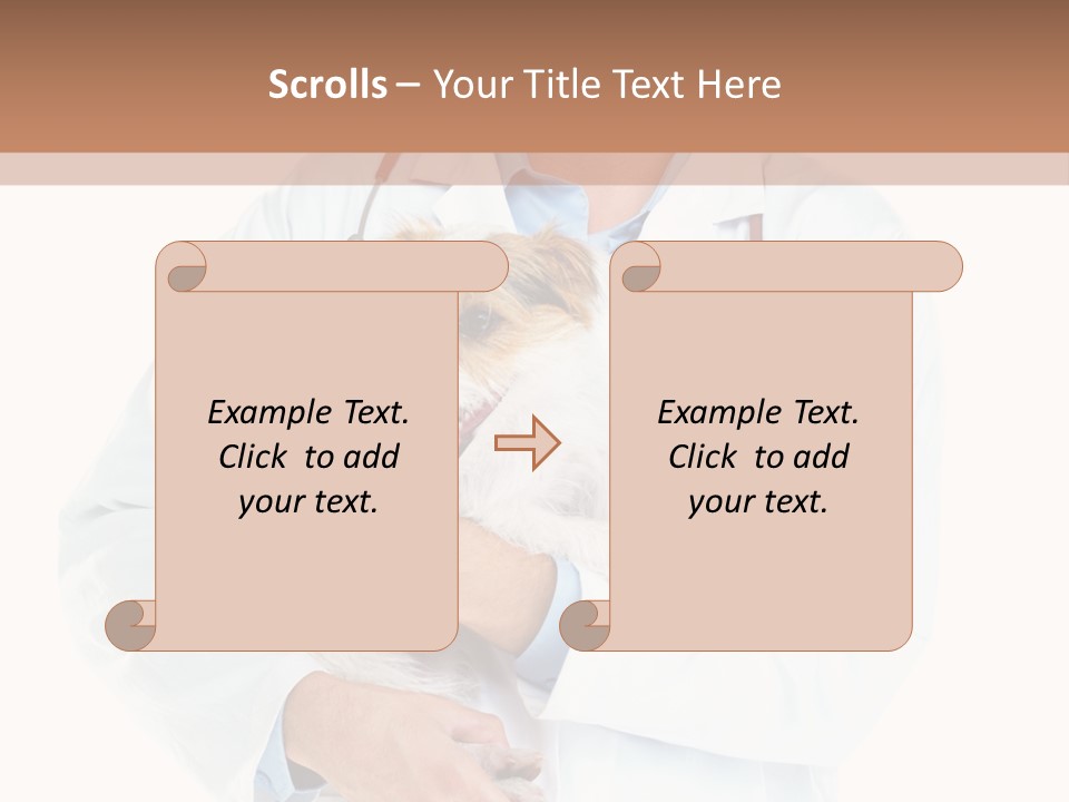 Company Office Di Cu Ion PowerPoint Template