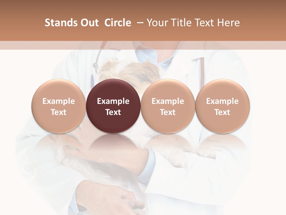 Company Office Di Cu Ion PowerPoint Template