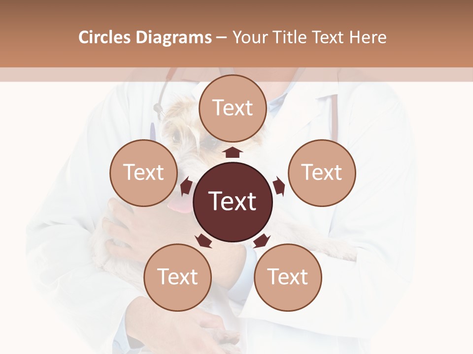 Company Office Di Cu Ion PowerPoint Template