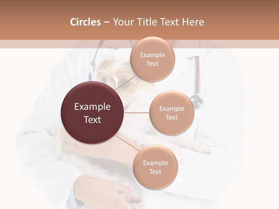 Company Office Di Cu Ion PowerPoint Template