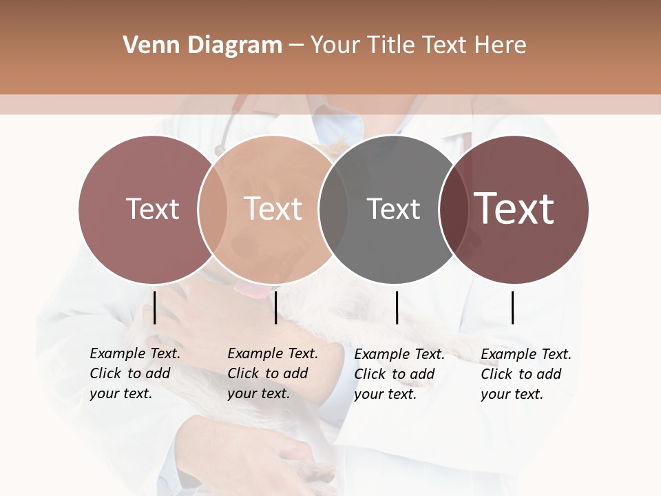 Company Office Di Cu Ion PowerPoint Template