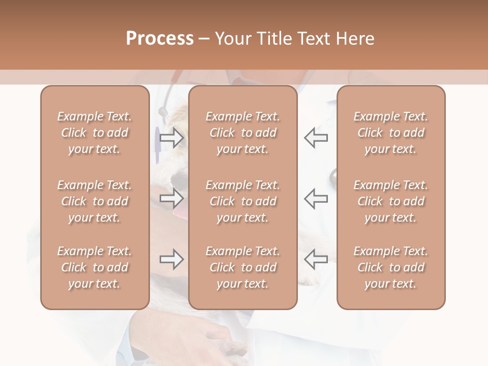 Company Office Di Cu Ion PowerPoint Template