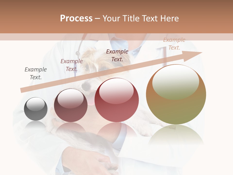 Company Office Di Cu Ion PowerPoint Template