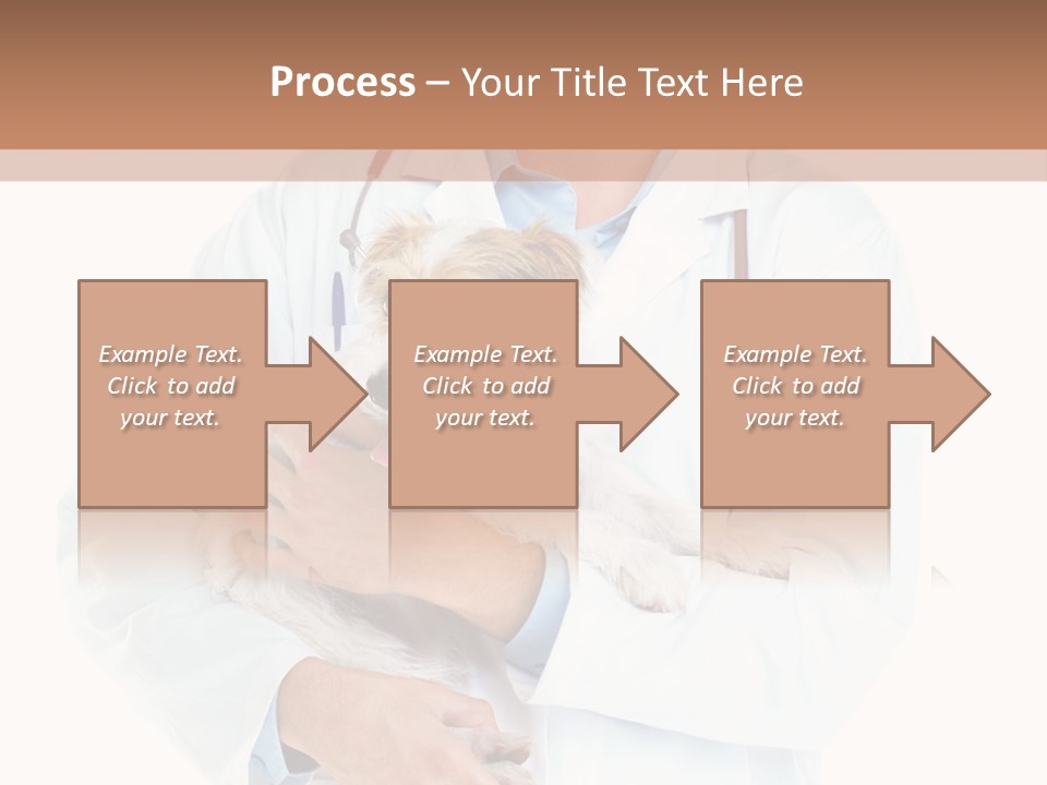 Company Office Di Cu Ion PowerPoint Template