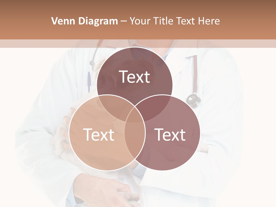 Company Office Di Cu Ion PowerPoint Template