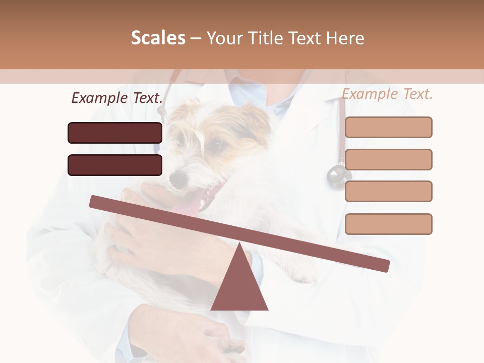 Company Office Di Cu Ion PowerPoint Template