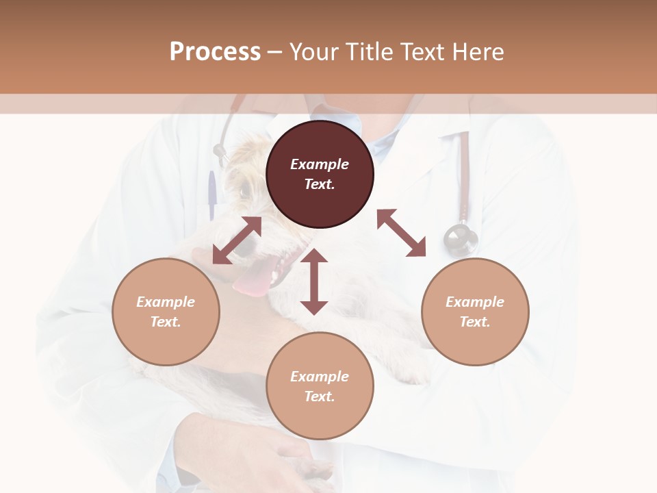 Company Office Di Cu Ion PowerPoint Template