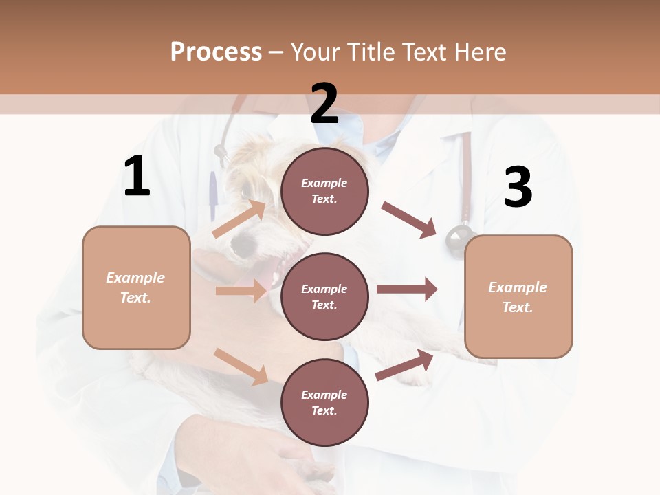 Company Office Di Cu Ion PowerPoint Template