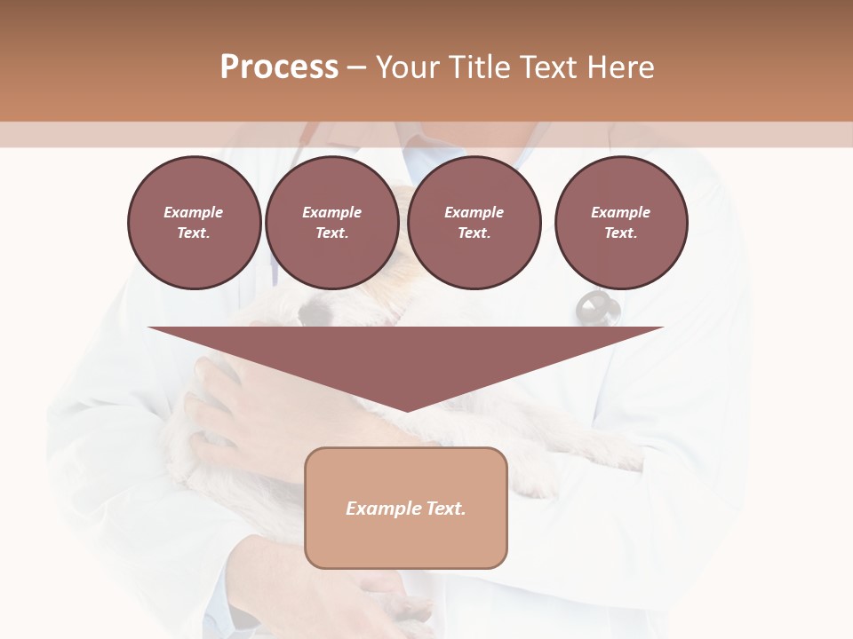 Company Office Di Cu Ion PowerPoint Template