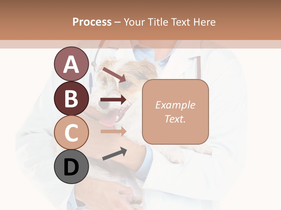 Company Office Di Cu Ion PowerPoint Template