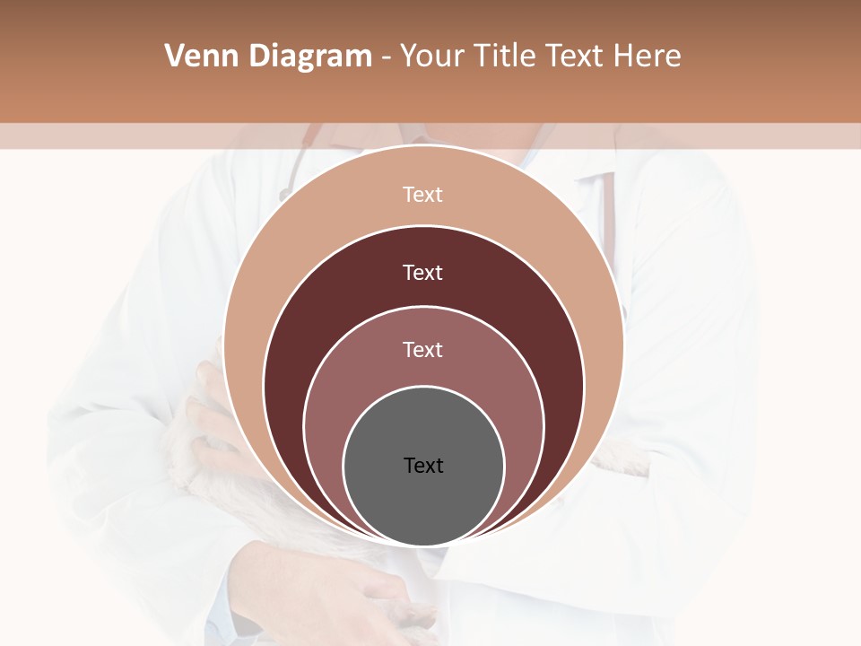 Company Office Di Cu Ion PowerPoint Template