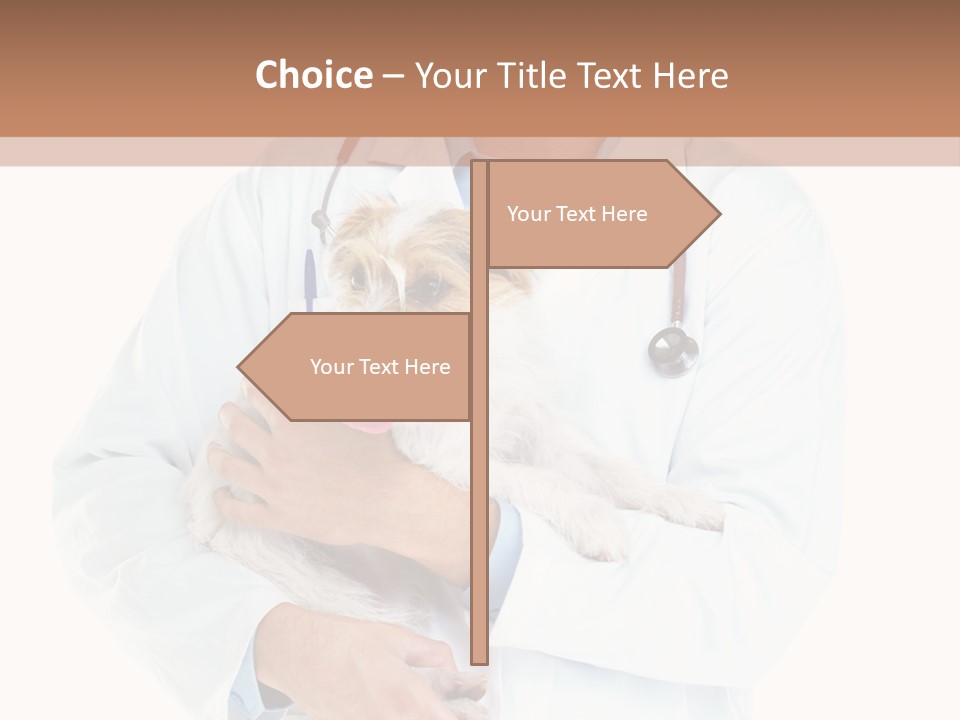 Company Office Di Cu Ion PowerPoint Template