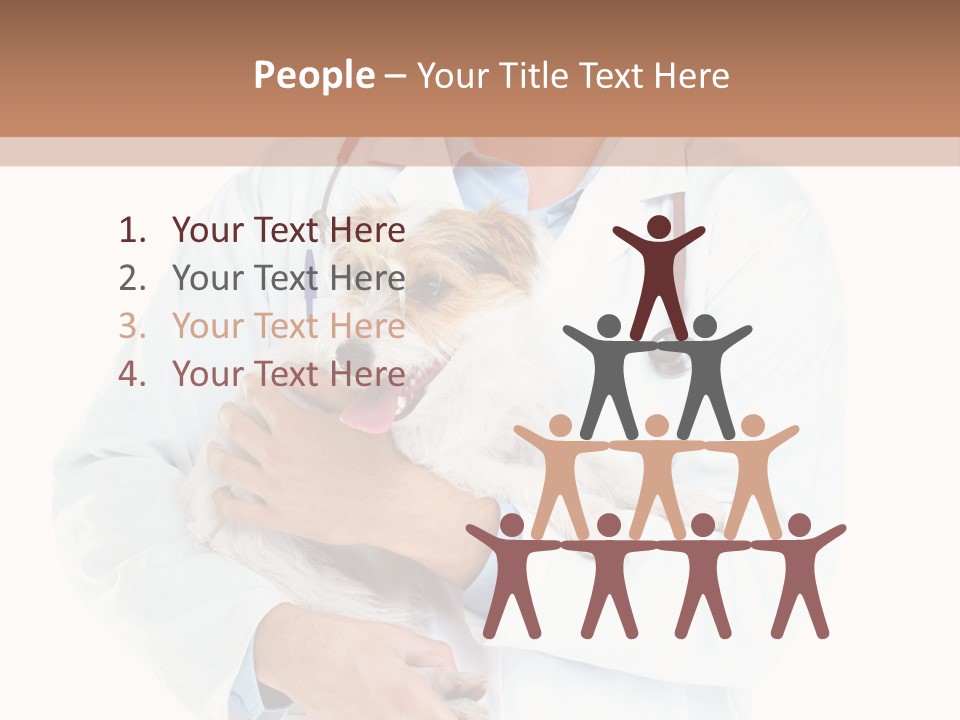 Company Office Di Cu Ion PowerPoint Template