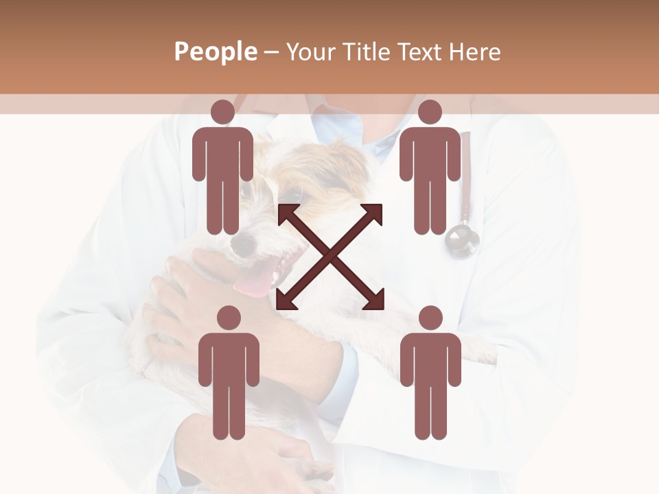 Company Office Di Cu Ion PowerPoint Template