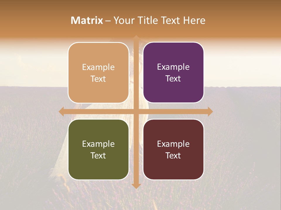 Enjoying Woman Colorful PowerPoint Template