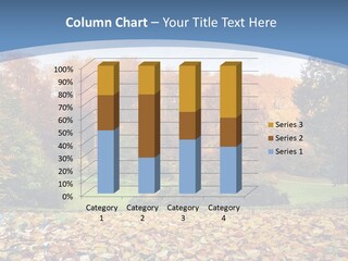 Golden Sunlight Bush PowerPoint Template