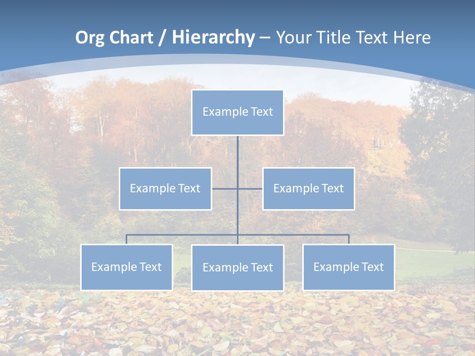 Golden Sunlight Bush PowerPoint Template