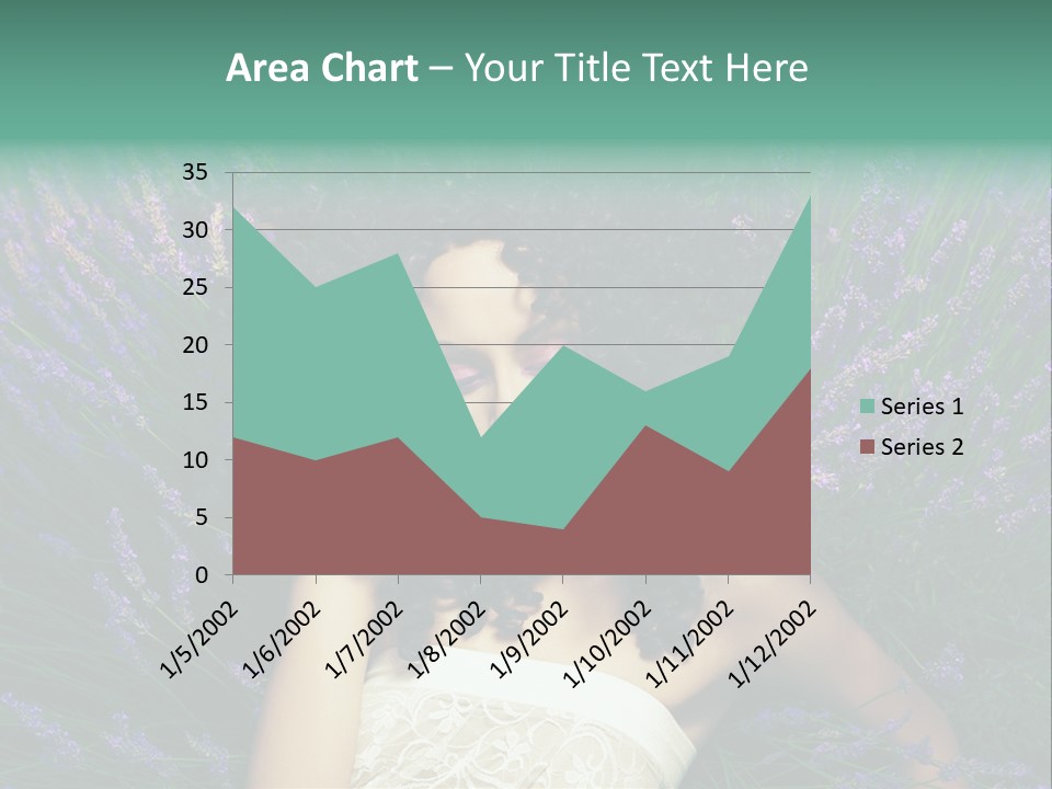 Dream Background Flowers PowerPoint Template