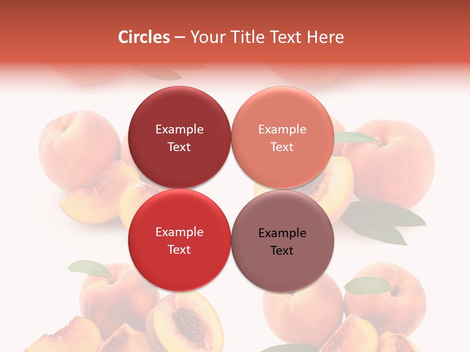 Set Half Fresh PowerPoint Template