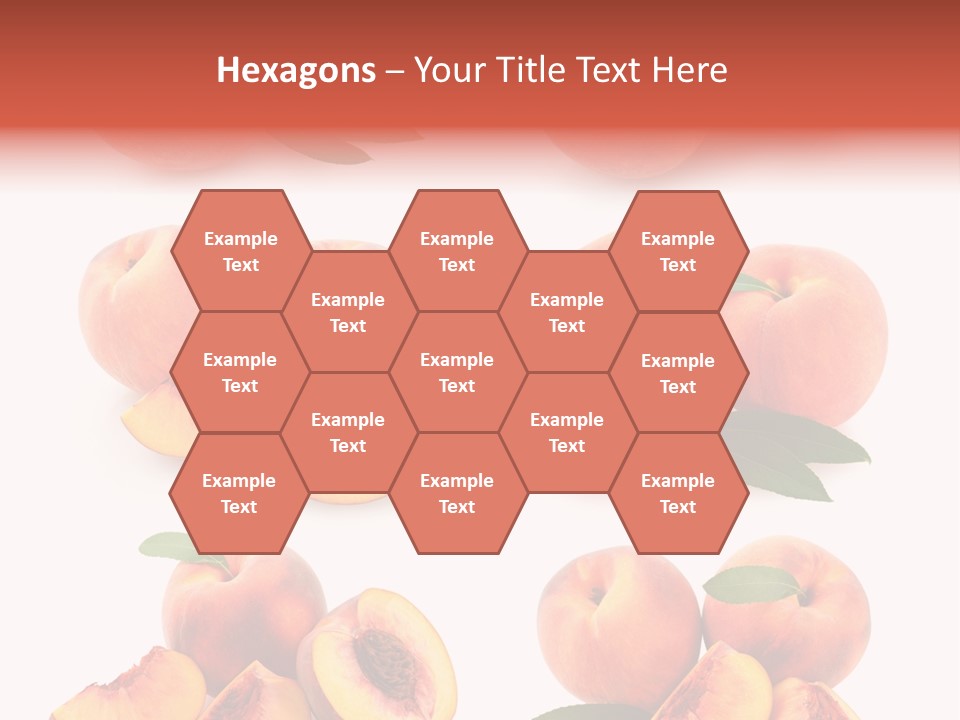 Set Half Fresh PowerPoint Template