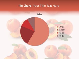 Set Half Fresh PowerPoint Template