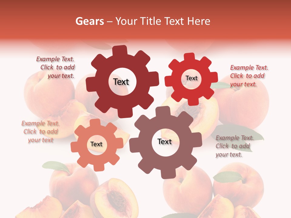 Set Half Fresh PowerPoint Template