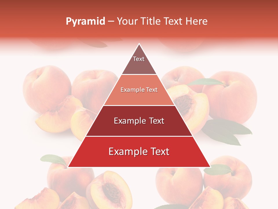 Set Half Fresh PowerPoint Template