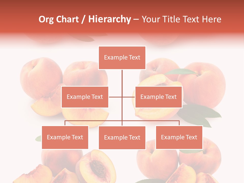 Set Half Fresh PowerPoint Template