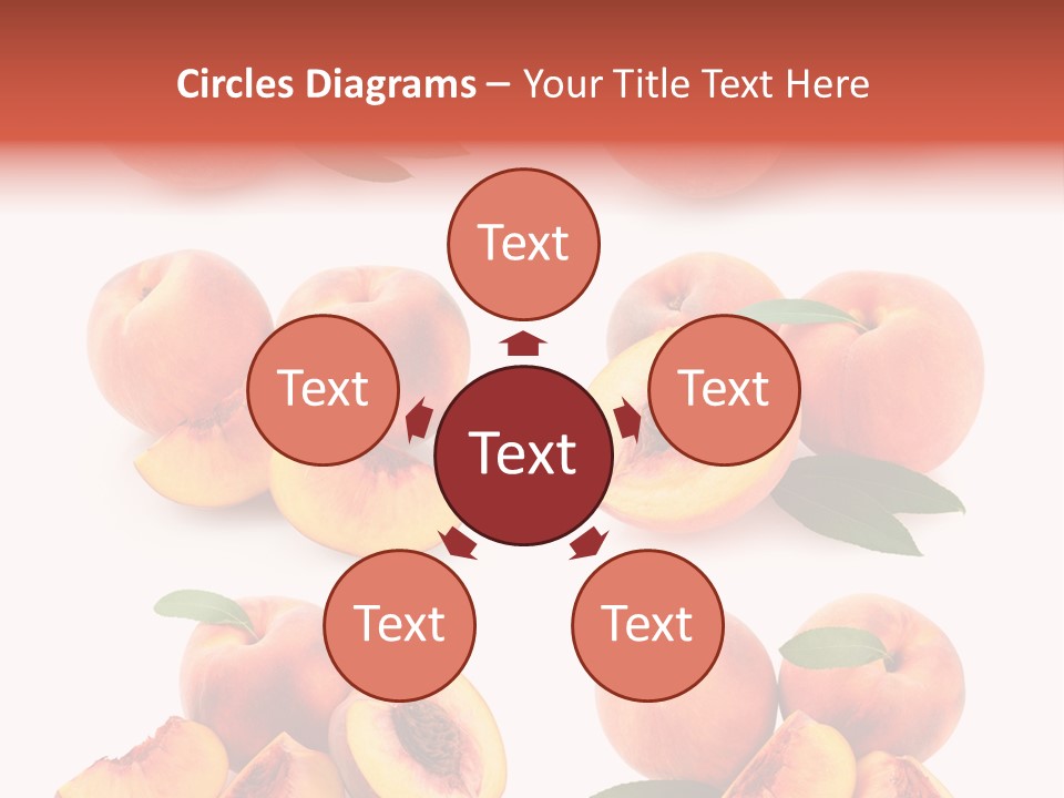 Set Half Fresh PowerPoint Template