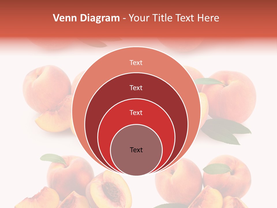 Set Half Fresh PowerPoint Template