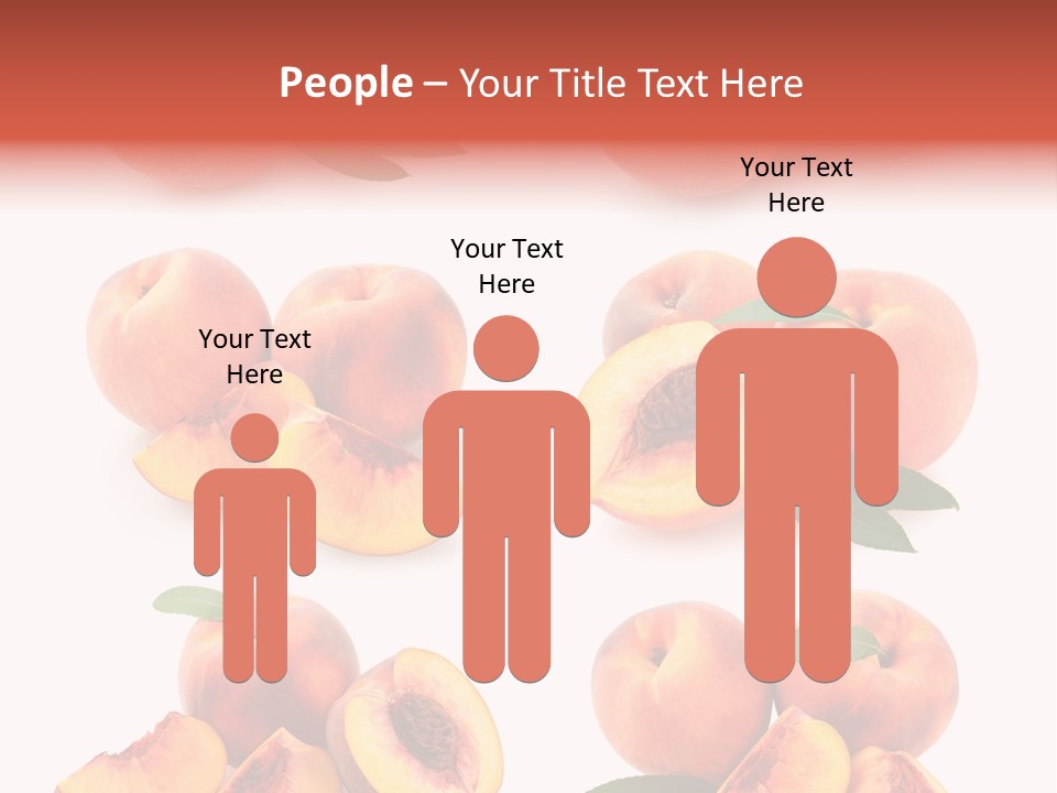 Set Half Fresh PowerPoint Template