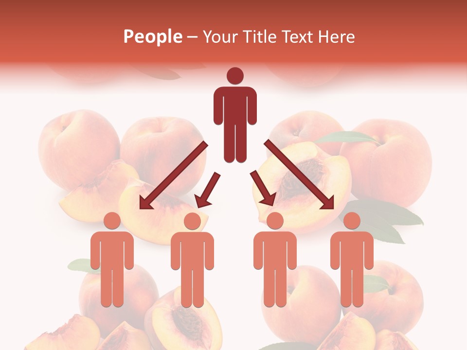 Set Half Fresh PowerPoint Template