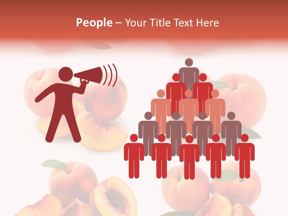 Set Half Fresh PowerPoint Template