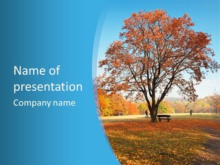 Leaf Blue Fall PowerPoint Template