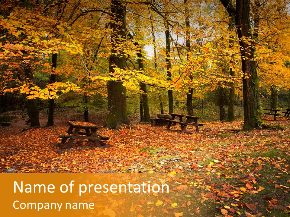 Vibrant Season Park PowerPoint Template